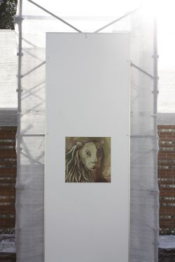 mario de poli palazzo dolfin