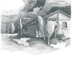 disegni04057023