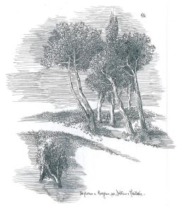 disegnolampografico