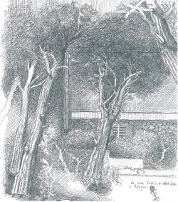 disegnolampografico