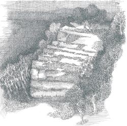 disegnolampografico