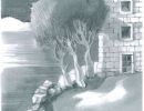 disegno pietre mare l
