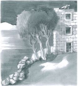 disegno pietre mare l