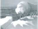 disegno04060020