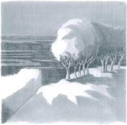 disegno04060020