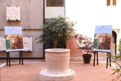 mario de poli palazzo ferrofini